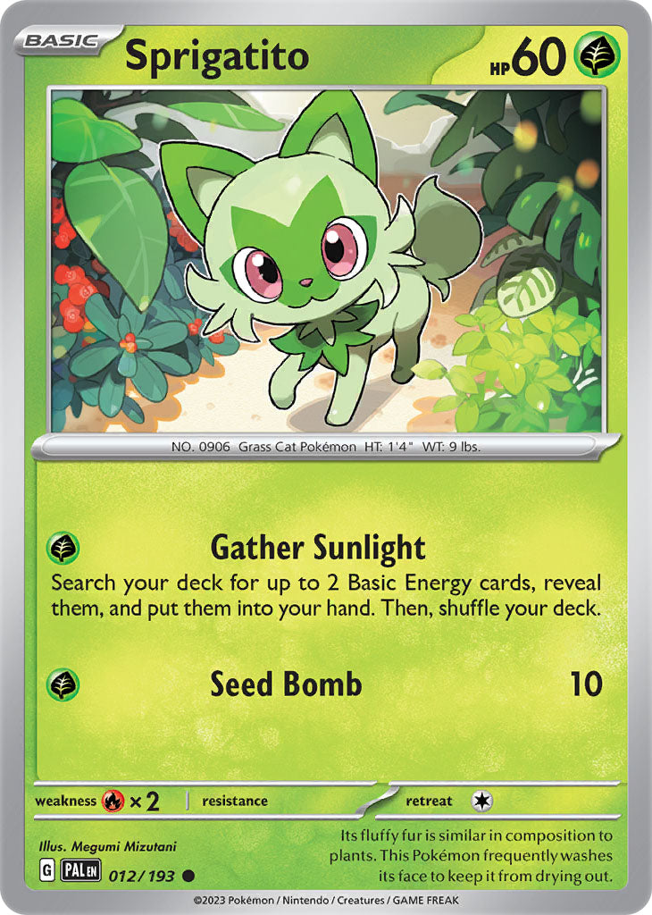 #012 Sprigatito 012/193 Common