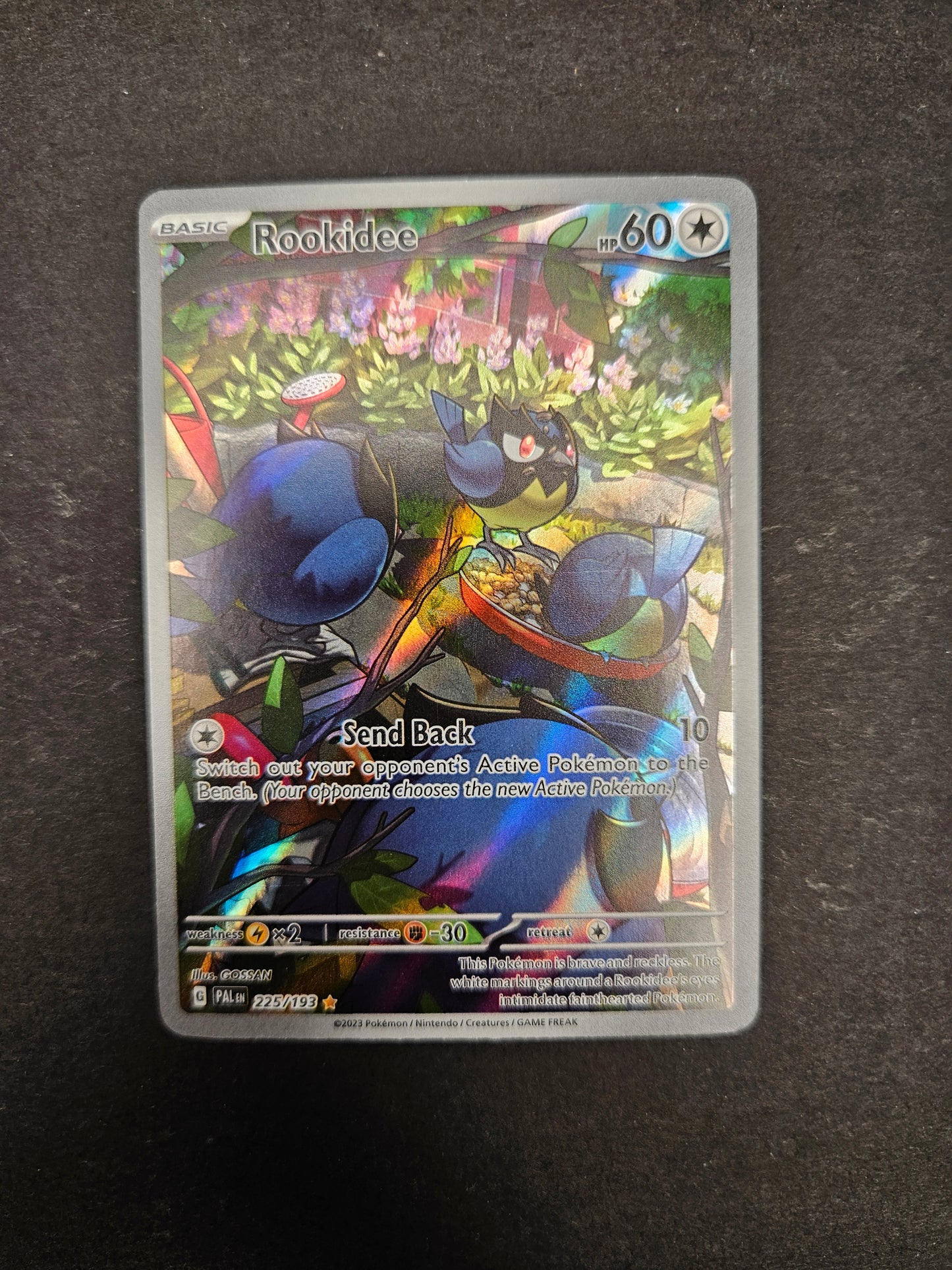 #225 Rookidee 225/193 Illustration Rare
