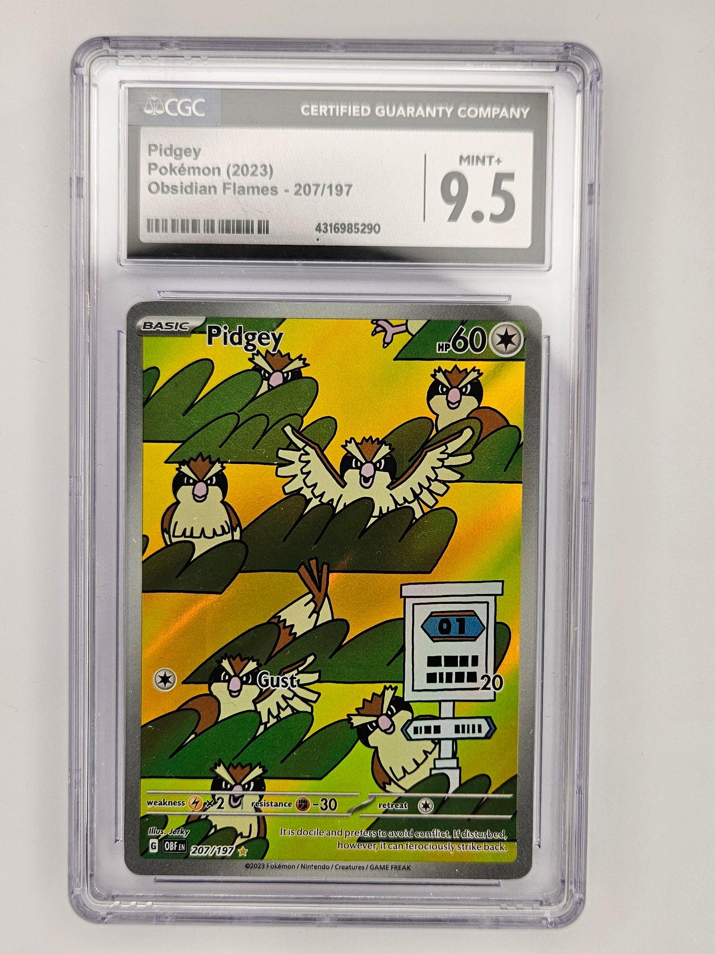 CGC 9.5 Pidgey 207/197
