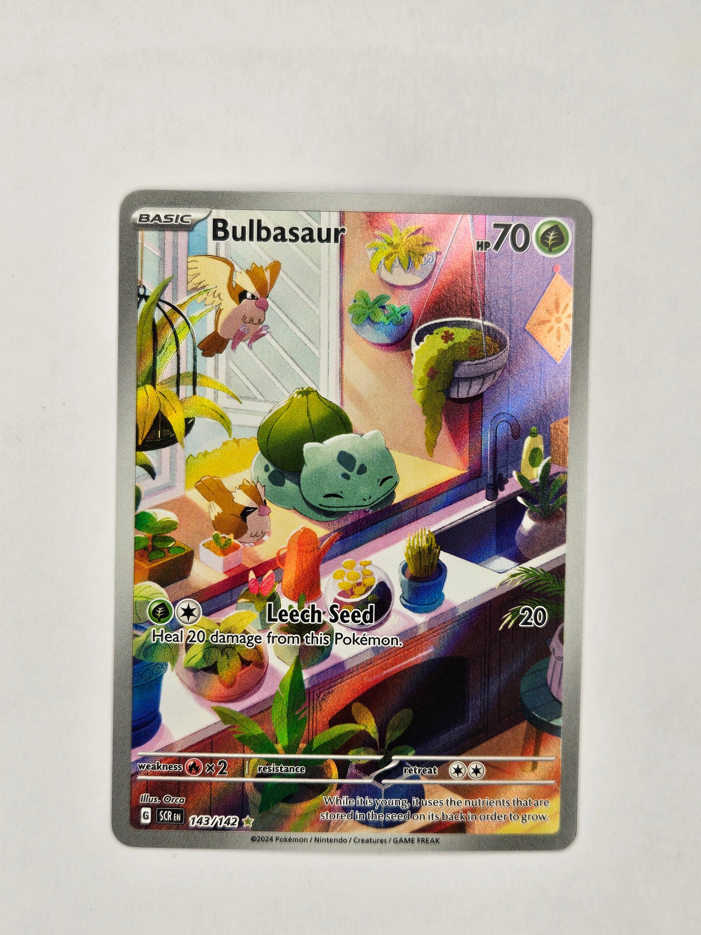 #143 Bulbasaur 143/142 Illustration Rare