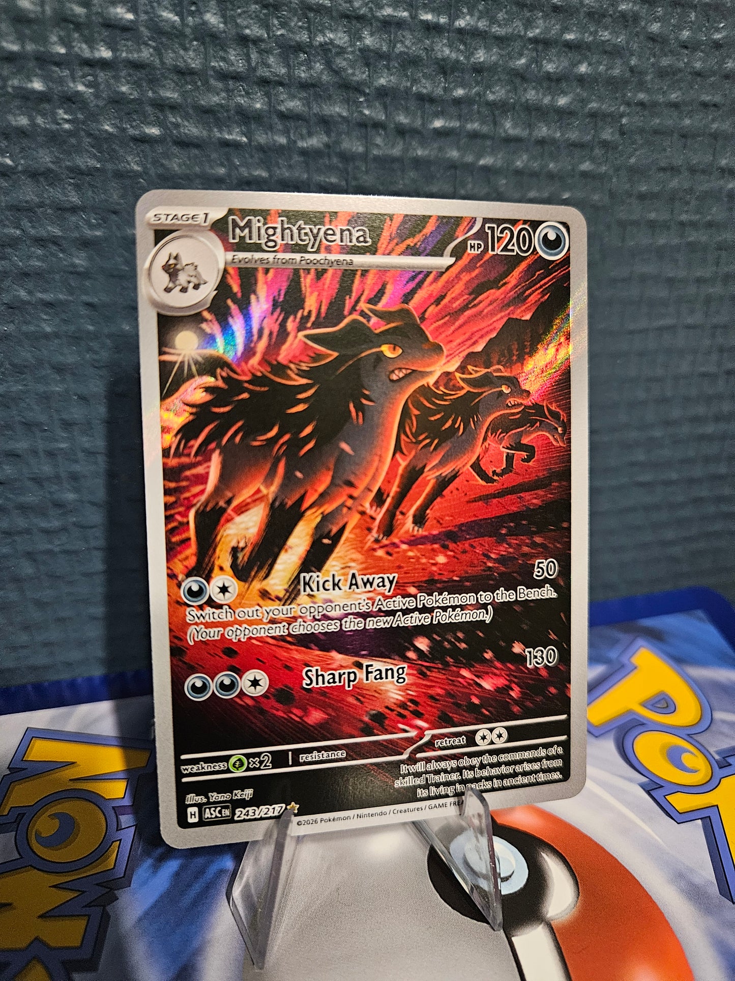 #243 Mightyena 243/217 Illustration Rare